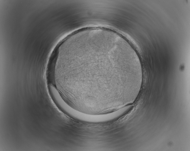 X0000116280943201001111032