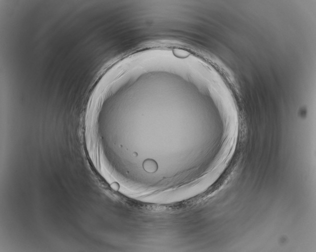X0000116280945201001111032
