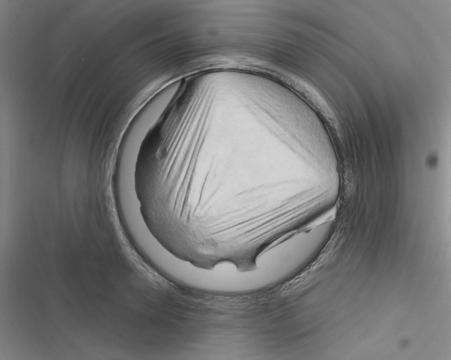X0000116280946201001111032