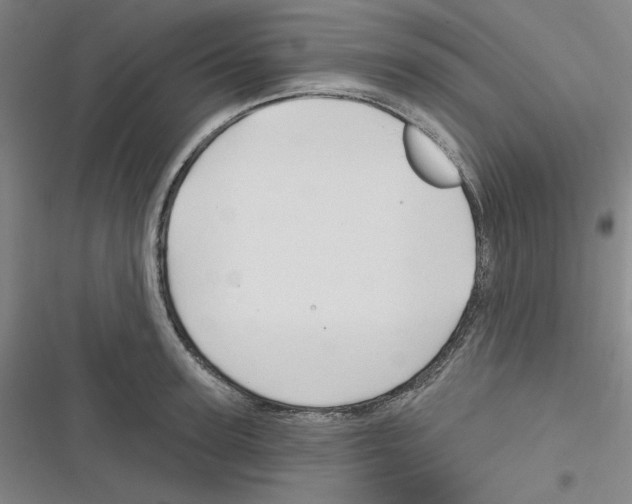 X0000116280947201001111032