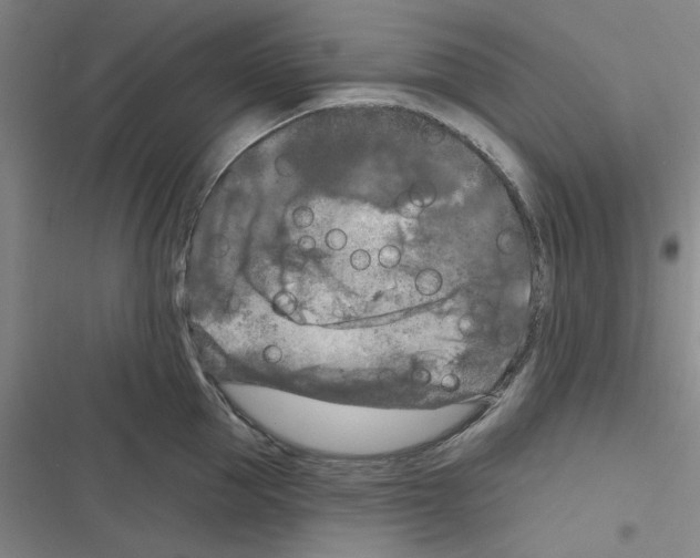 X0000116280953201001111032
