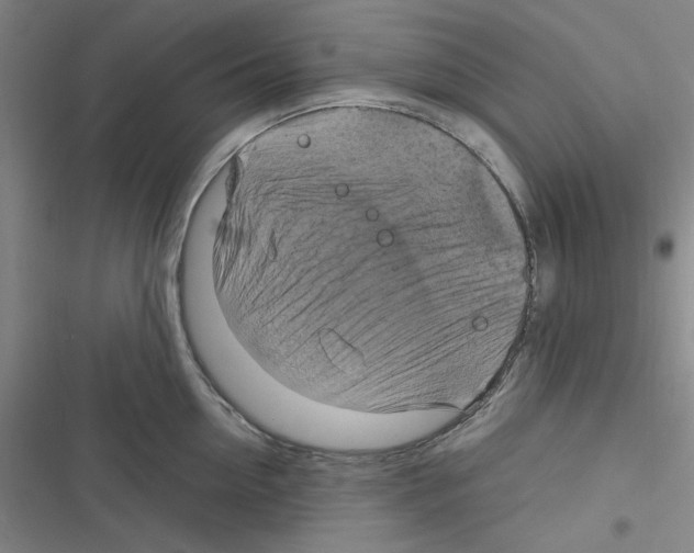X0000116280954201001111032