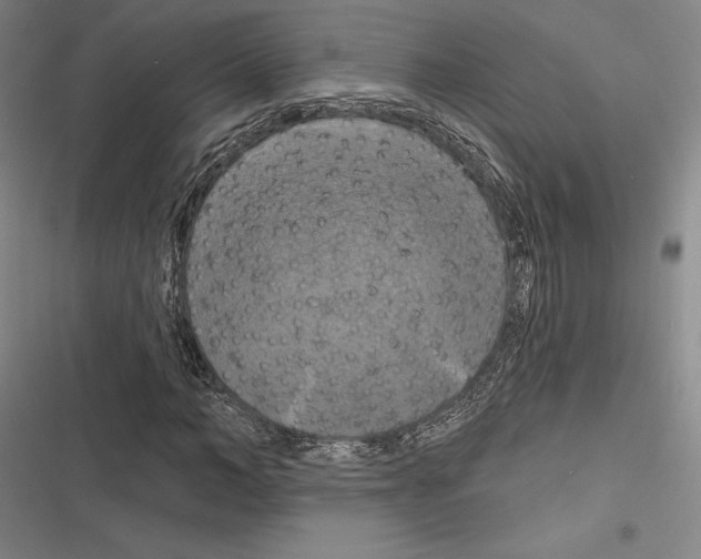 X0000116280966201001111032