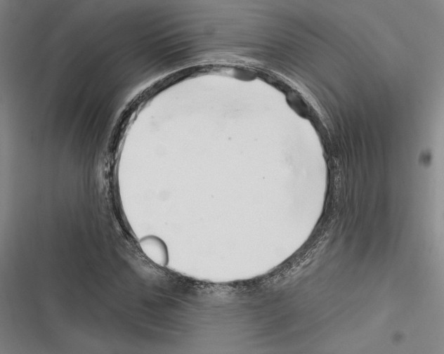 X0000116280971201001111032