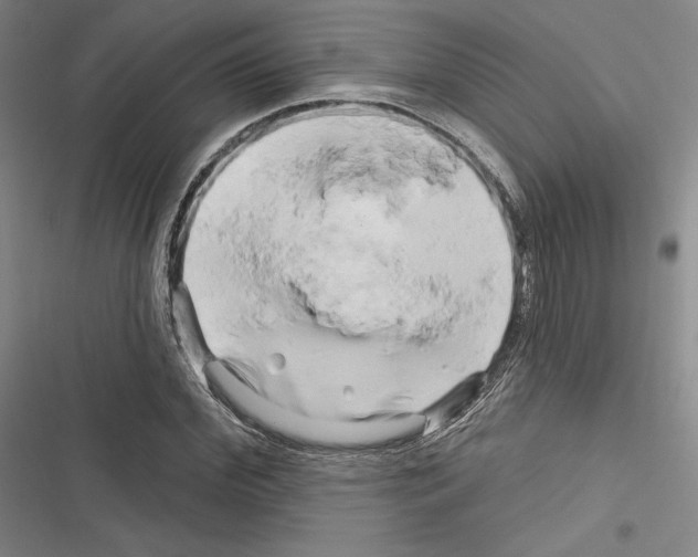 X0000116280972201001111032