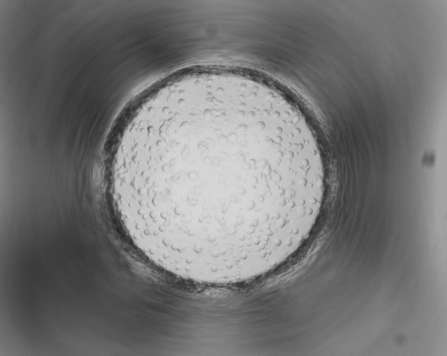 X0000116280974201001111032