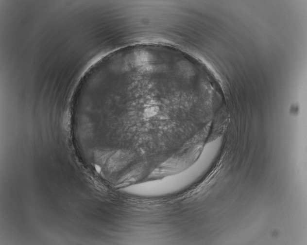X0000116280975201001111032