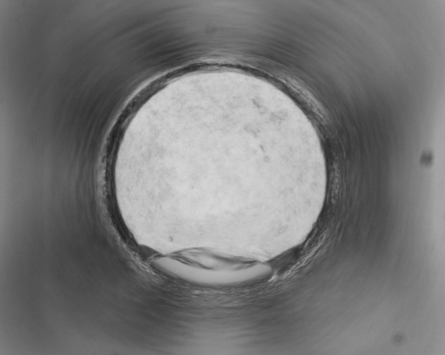 X0000116280976201001111032