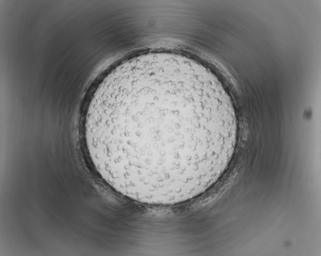 X0000116280978201001111032