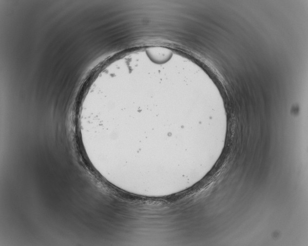 X0000116280979201001111032