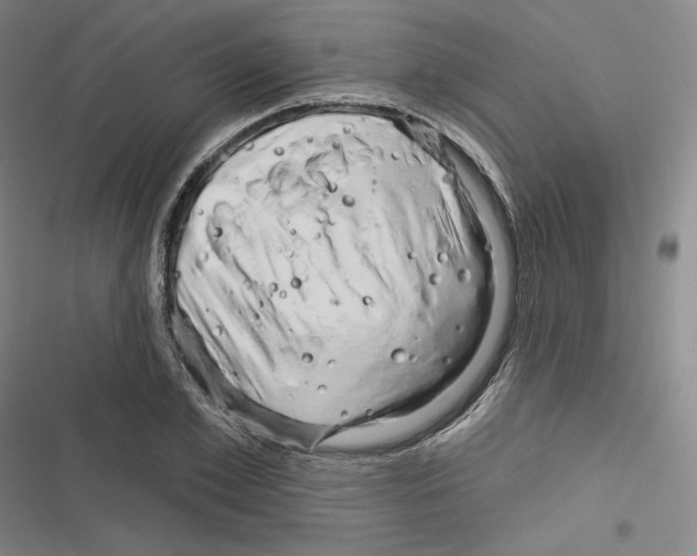 X0000116280981201001111032