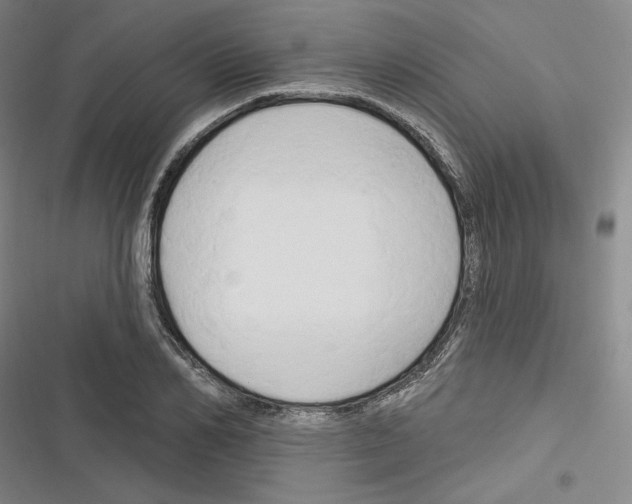X0000116280982201001111032