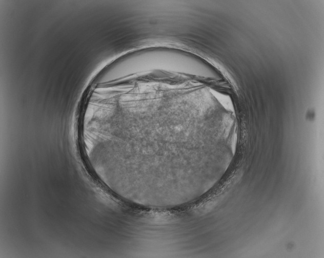 X0000116280983201001111032
