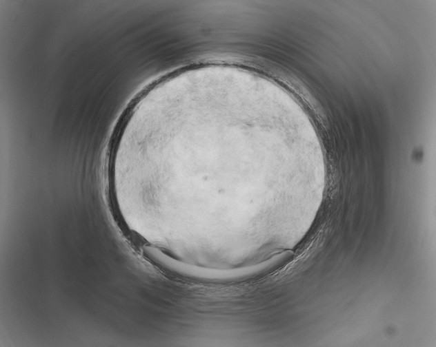X0000116280984201001111032