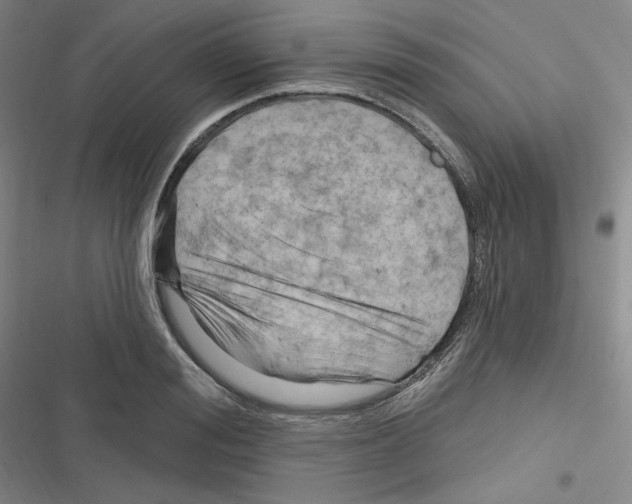 X0000116280988201001111031