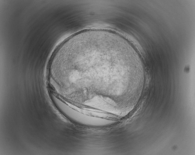 X0000116280990201001111031