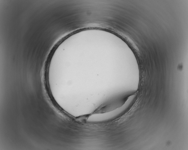 X0000116280991201001111031