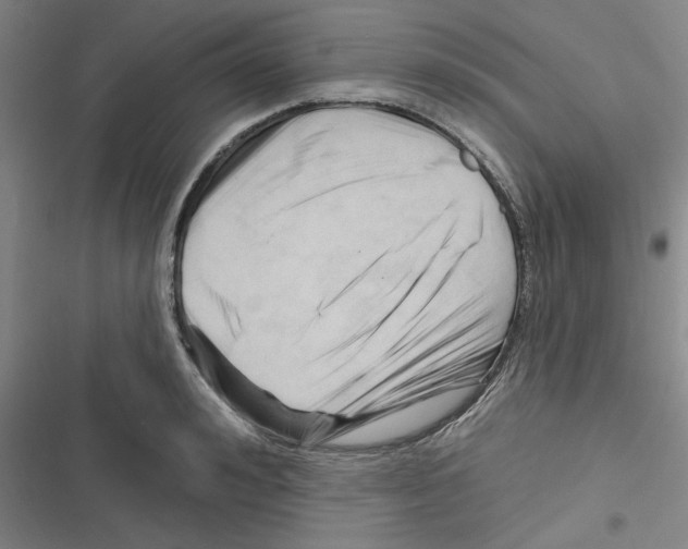 X0000116280992201001111031