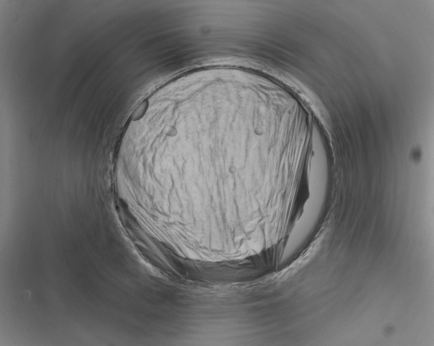 X0000116280993201001111031