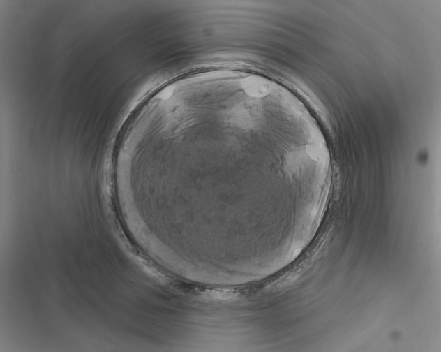 X0000116280994201001111031