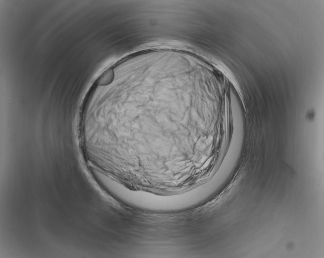 X0000116280997201001111031