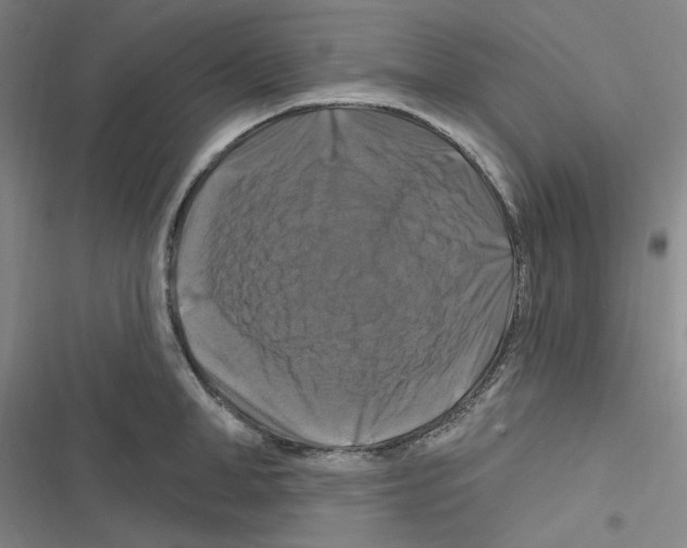 X0000116280998201001111031