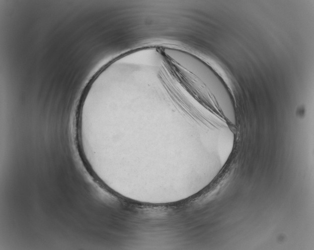 X0000116280999201001111031