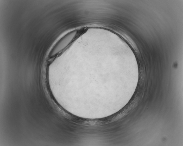 X0000116281000201001111031