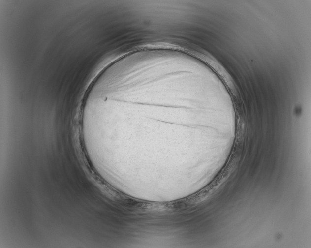 X0000116281002201001111031