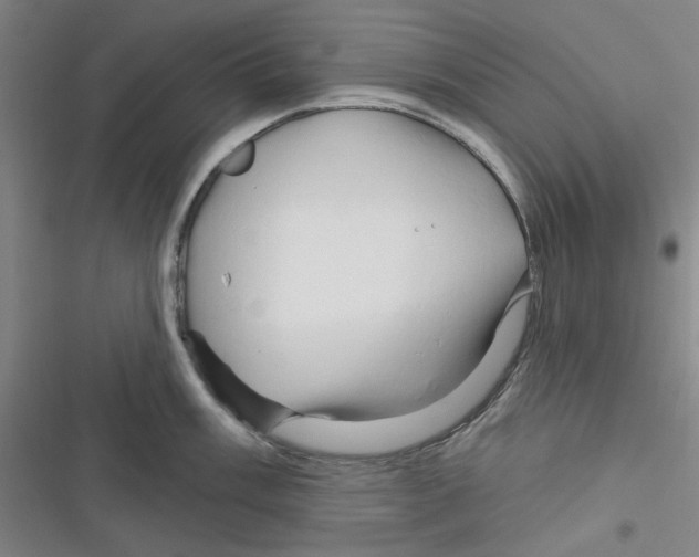 X0000116281003201001111031