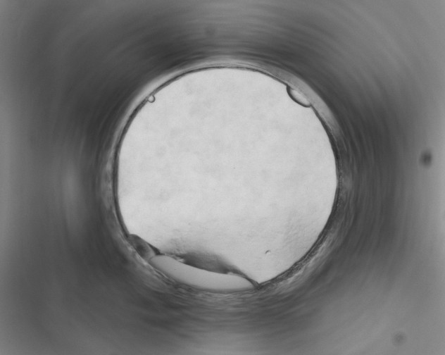X0000116281004201001111031