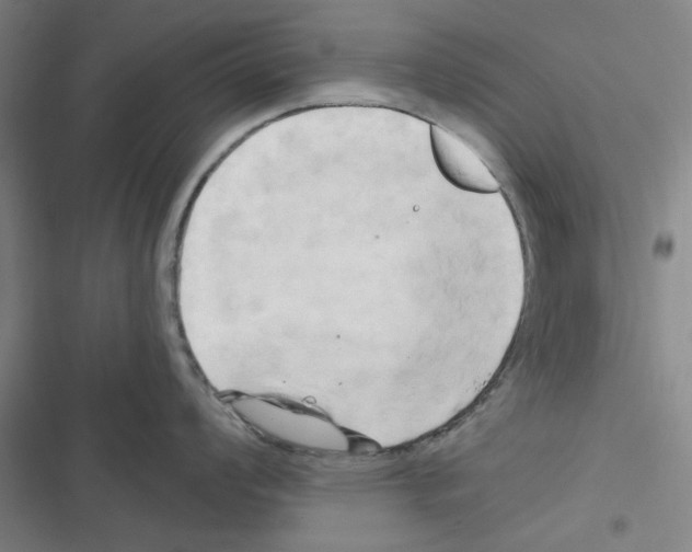 X0000116281008201001111031