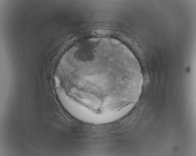 X0000116281009201001111031