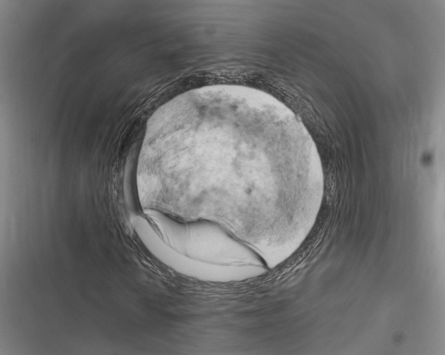 X0000116281010201001111031