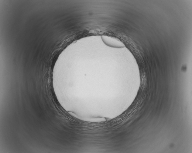 X0000116281012201001111031