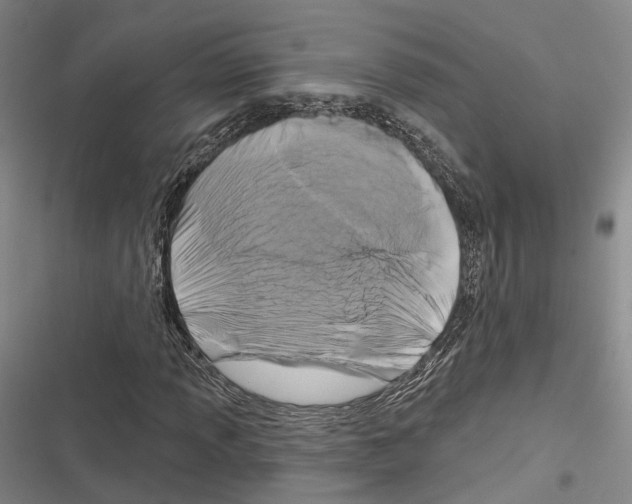 X0000116281013201001111031