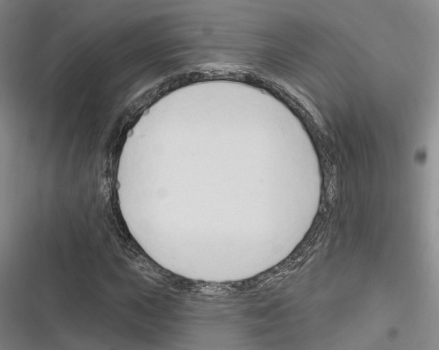 X0000116281015201001111031