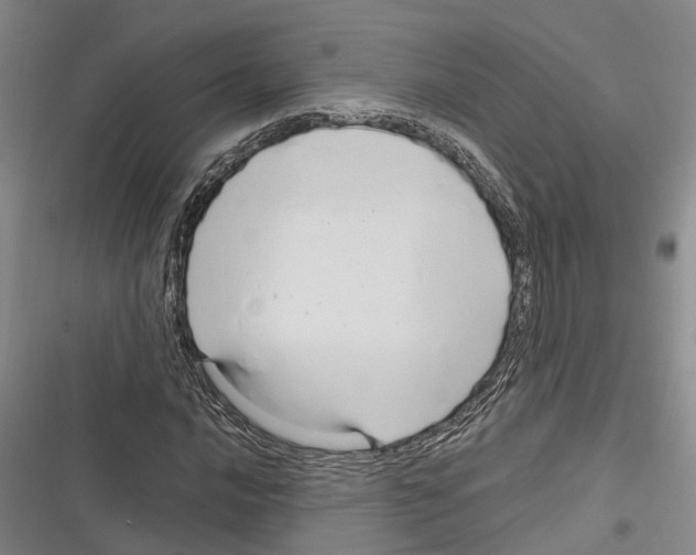 X0000116281016201001111031