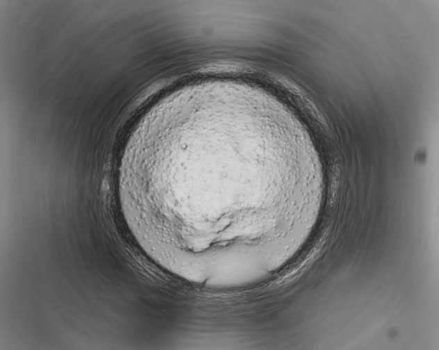 X0000116281017201001111031