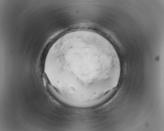 X0000116281018201001111031