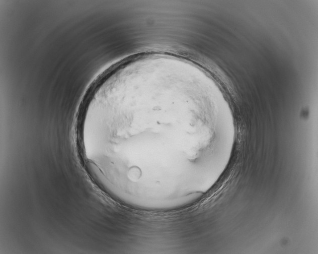 X0000116281020201001111031