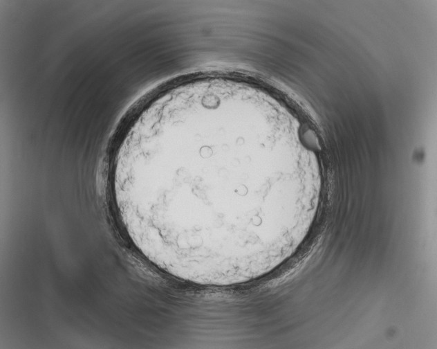 X0000116281021201001111031