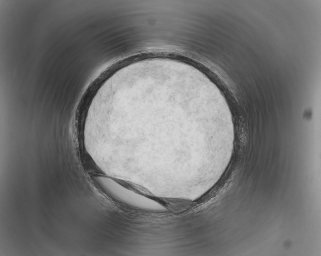 X0000116281022201001111031