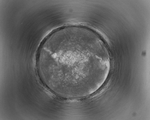 X0000116281023201001111031