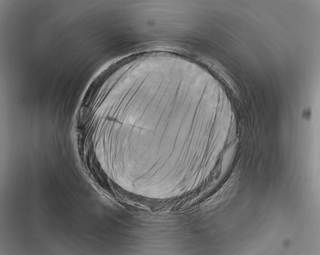X0000116281024201001111031