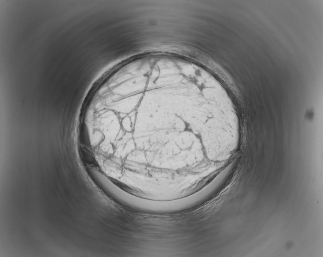 X0000116281028201001111031