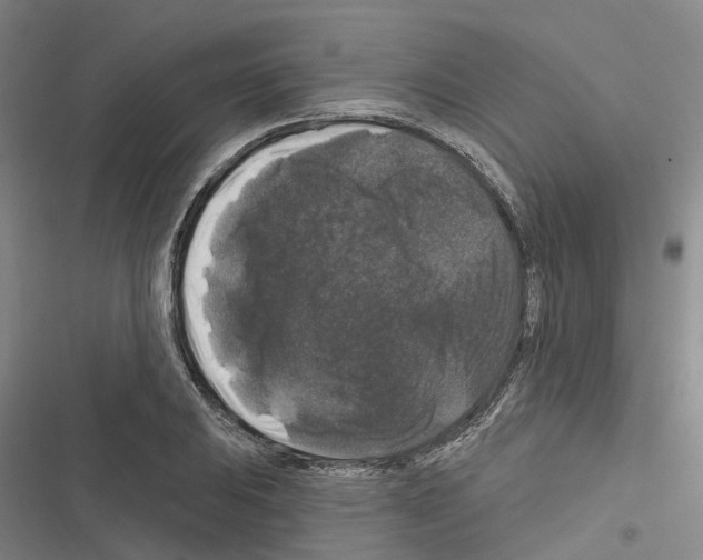 X0000116281031201001111031