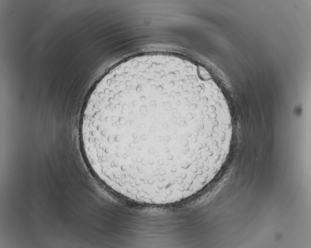 X0000116281033201001111031