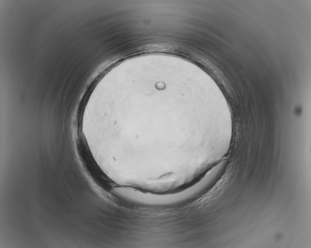 X0000116281034201001111031