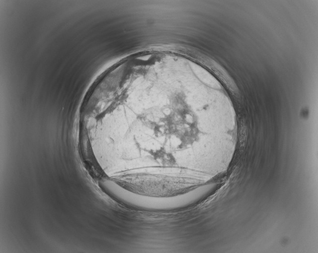 X0000116281036201001111031